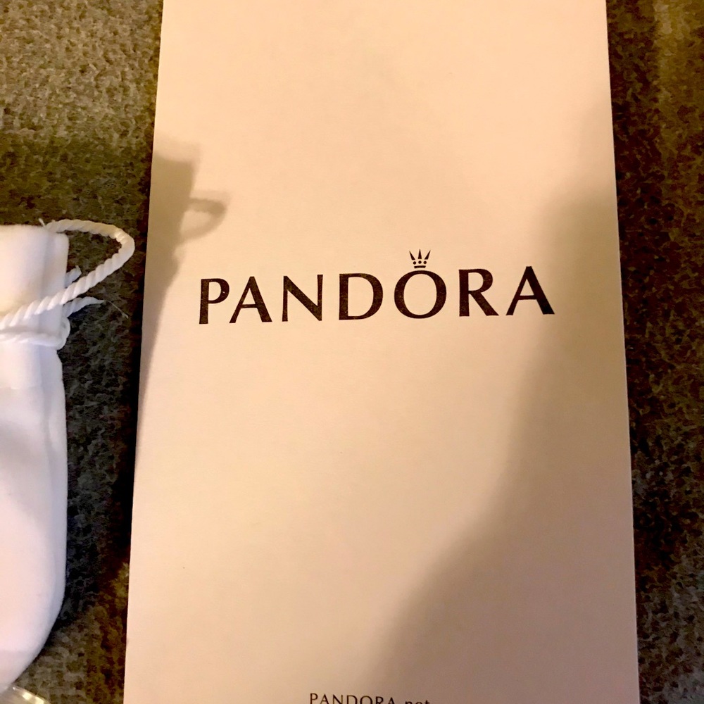 Authentic Pandora Charm